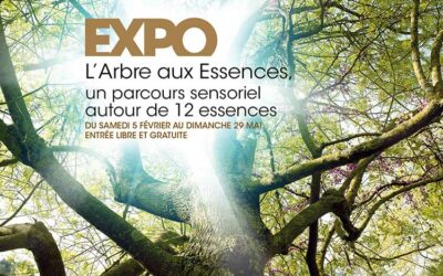 L’arbre aux essences